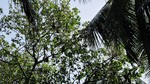 Vilamendhoo2013-152.jpg