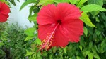 Vilamendhoo2013-158.jpg