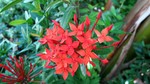 Vilamendhoo2013-159.jpg