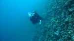 Vilamendhoo2013-176.jpg