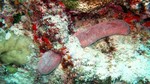 Vilamendhoo2013-181.jpg
