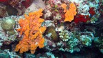 Vilamendhoo2013-191.jpg