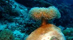 Vilamendhoo2013-202.jpg