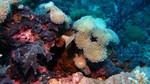 Vilamendhoo2013-207.jpg