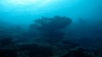 Vilamendhoo2013-213.jpg