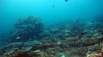 Vilamendhoo2013-219.jpg