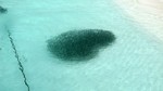 Vilamendhoo2013-232.jpg