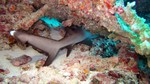 Vilamendhoo2013-236.jpg