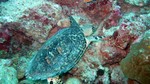 Vilamendhoo2013-241.jpg