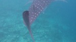 Vilamendhoo2013-263.jpg