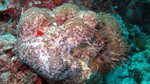 Vilamendhoo2013-271.jpg