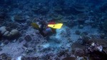 Vilamendhoo2013-307.jpg