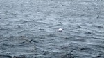 Vilamendhoo2013-322.jpg