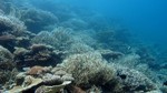 Vilamendhoo2013-359.jpg