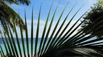 Vilamendhoo2013-437.jpg