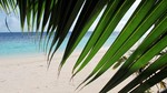 Vilamendhoo2013-468.jpg