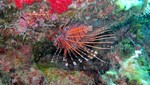 Vilamendhoo2013-473.jpg