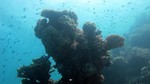 Vilamendhoo2013-479.jpg