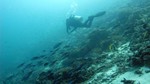 Vilamendhoo2013-499.jpg