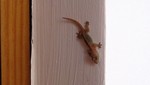 Vilamendhoo2013-527.jpg