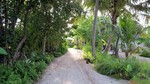 Vilamendhoo2013-530.jpg