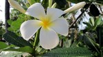 Vilamendhoo2013-534.jpg