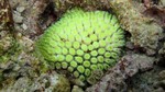 Vilamendhoo2013-583.jpg