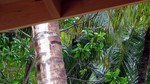 Vilamendhoo2013-636.jpg