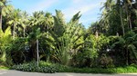 Vilamendhoo2013-668.jpg