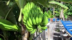 Vilamendhoo2013-673.jpg
