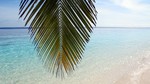 Vilamendhoo2013-685.jpg