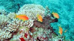 Vilamendhoo2013-699.jpg