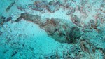 Vilamendhoo2013-714.jpg