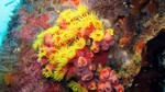 Vilamendhoo2013-739.jpg
