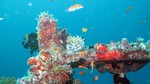Vilamendhoo2013-744.jpg