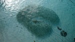 Vilamendhoo2013-754.jpg