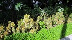 Vilamendhoo2013-755.jpg