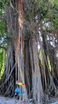 Vilamendhoo2013-774.jpg