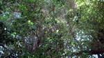 Vilamendhoo2013-776.jpg