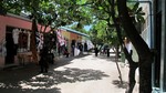 Vilamendhoo2013-786.jpg