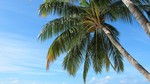 Vilamendhoo2013-788.jpg
