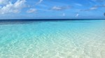 Vilamendhoo2013-790.jpg