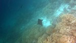 Vilamendhoo2013-795.jpg