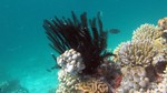 Vilamendhoo2013-800.jpg
