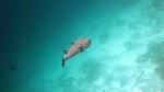 Vilamendhoo2013-801.jpg