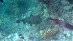 Vilamendhoo2013-802.jpg