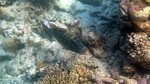 Vilamendhoo2013-808.jpg