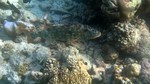 Vilamendhoo2013-810.jpg
