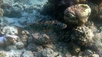 Vilamendhoo2013-811.jpg