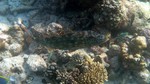 Vilamendhoo2013-812.jpg